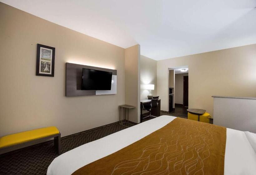 Люкс Кровать Кинг, Comfort Inn & Suites Midway   Tallahassee West