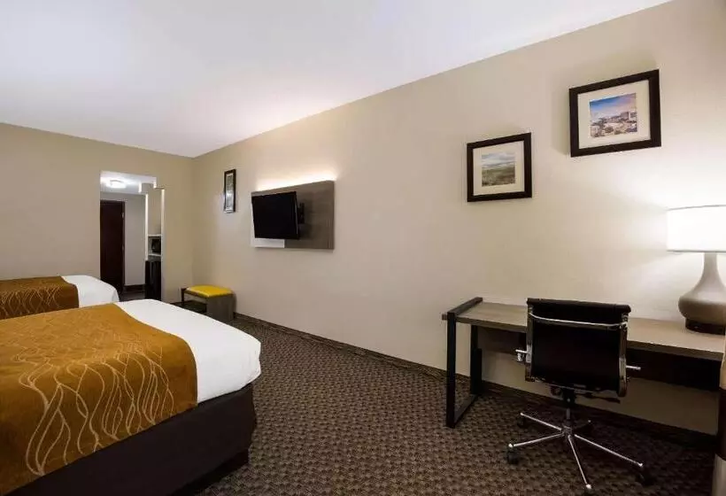 スタンダードルーム, Comfort Inn & Suites Midway   Tallahassee West