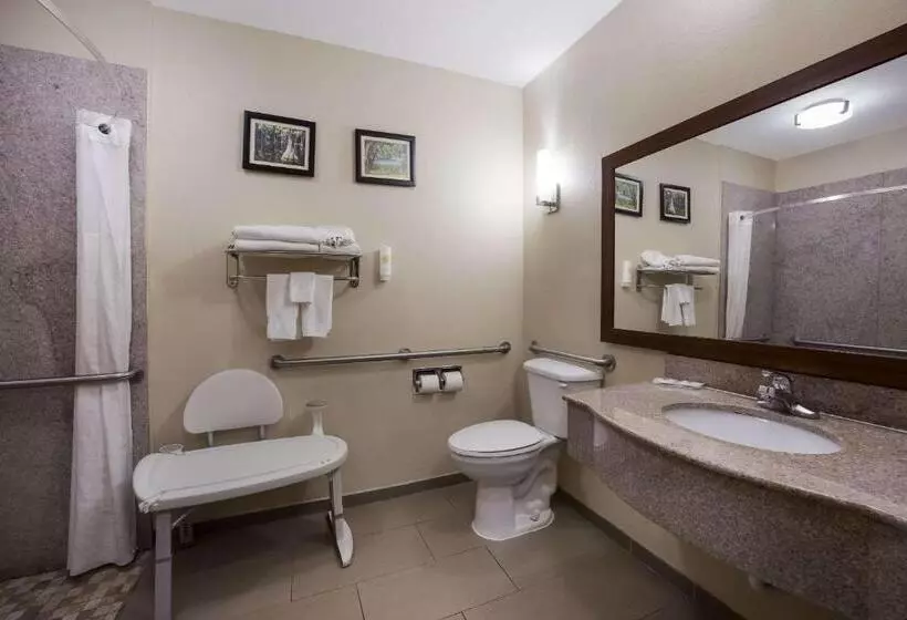 身障者適用キングサイズベッドルーム, Comfort Inn & Suites Midway   Tallahassee West
