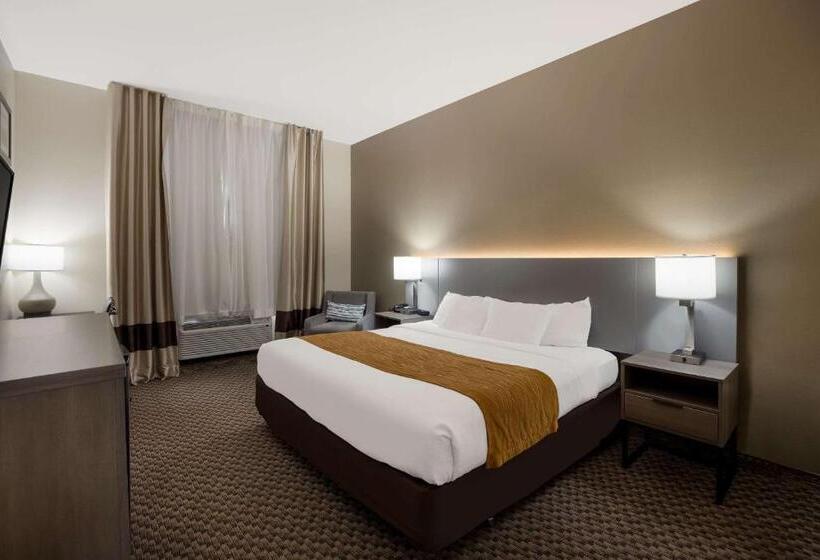 장애인을 위한 킹사이즈 침대 스탠다드 룸, Comfort Inn & Suites Midway Tallahassee West