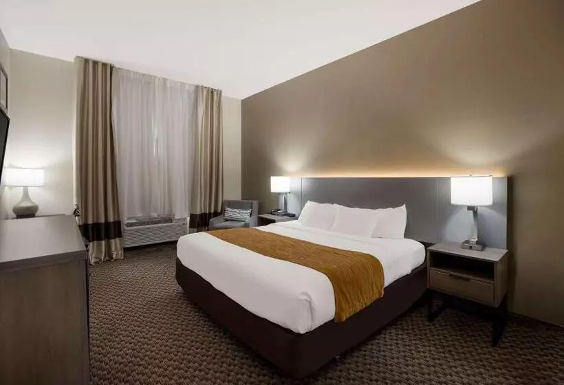身障者適用キングサイズベッドルーム, Comfort Inn & Suites Midway   Tallahassee West