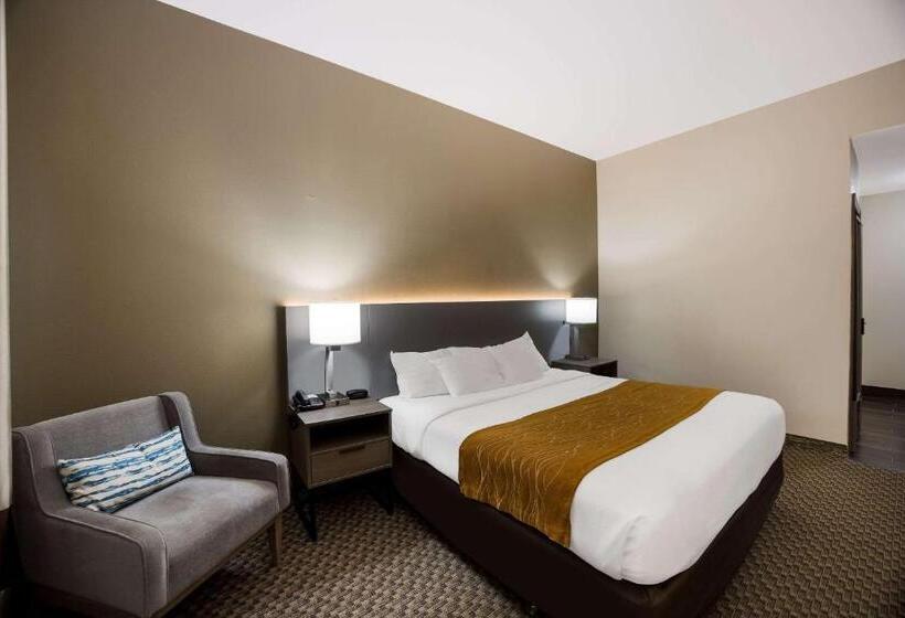 장애인을 위한 킹사이즈 침대 스탠다드 룸, Comfort Inn & Suites Midway Tallahassee West