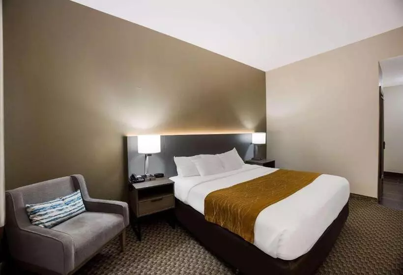 身障者適用キングサイズベッドルーム, Comfort Inn & Suites Midway   Tallahassee West