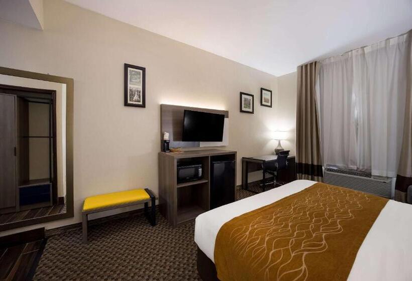 장애인을 위한 킹사이즈 침대 스탠다드 룸, Comfort Inn & Suites Midway Tallahassee West