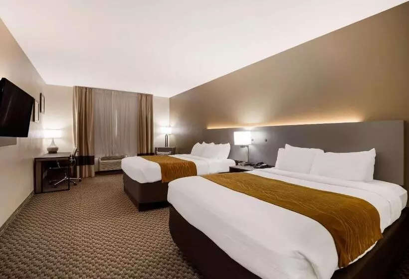 身障者適用スタンダードルーム, Comfort Inn & Suites Midway   Tallahassee West