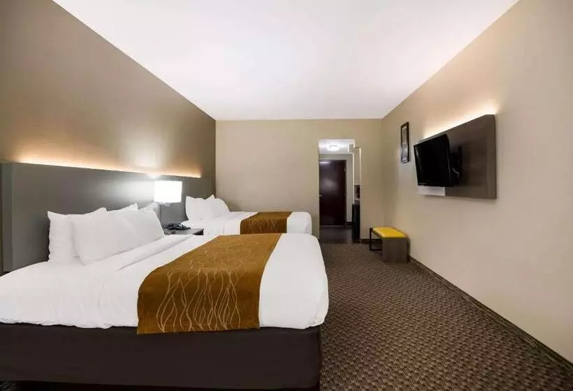 身障者適用スタンダードルーム, Comfort Inn & Suites Midway   Tallahassee West