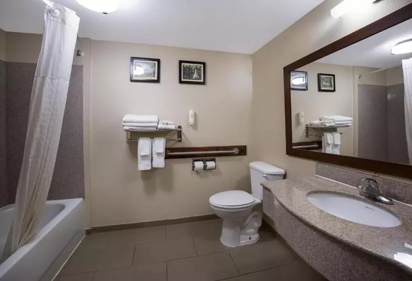 身障者適用スタンダードルーム, Comfort Inn & Suites Midway   Tallahassee West