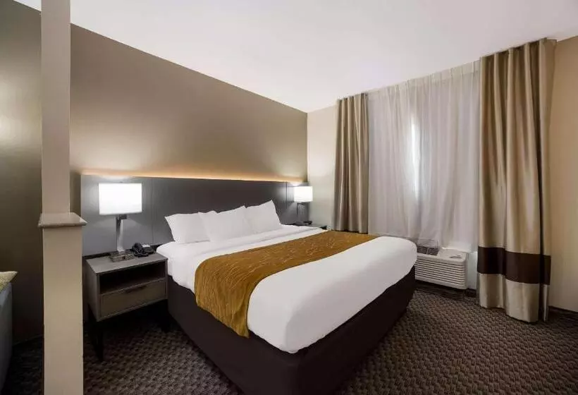 身障者適用スイートルーム, Comfort Inn & Suites Midway   Tallahassee West
