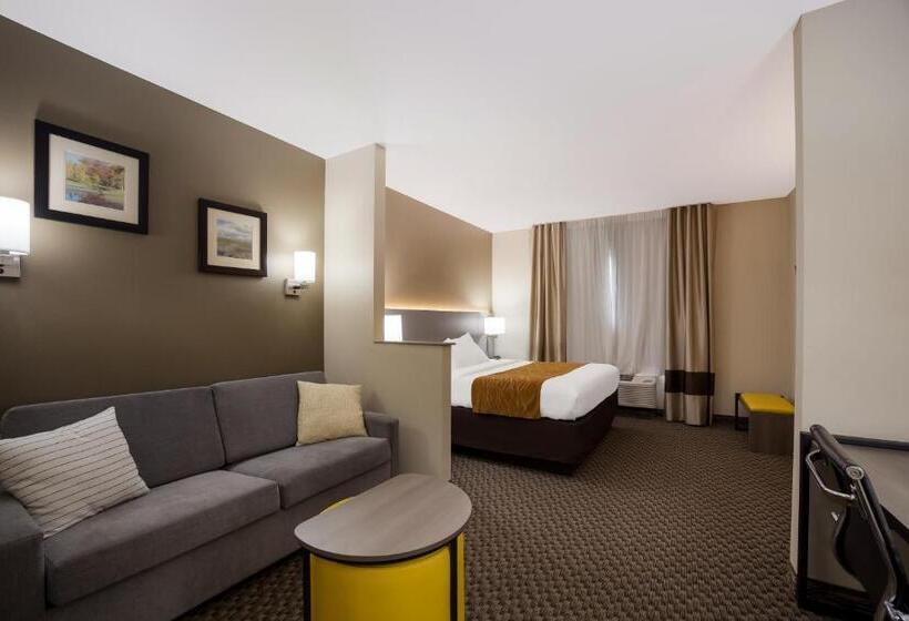 장애인을 위한 스위트, Comfort Inn & Suites Midway Tallahassee West