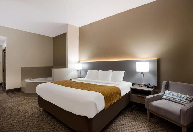 스탠다드 룸 킹사이즈 침대, Comfort Inn & Suites Midway Tallahassee West
