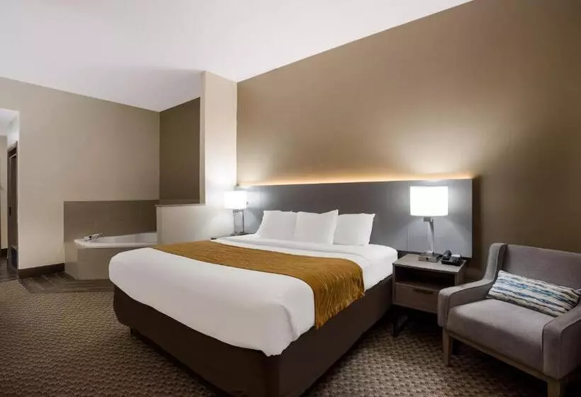 キングサイズベッドのスタンダードルーム, Comfort Inn & Suites Midway   Tallahassee West