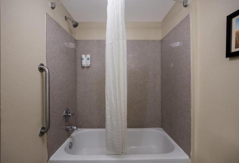 스탠다드 룸 킹사이즈 침대, Comfort Inn & Suites Midway Tallahassee West