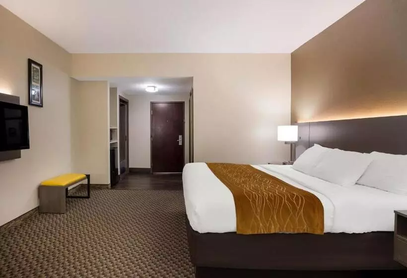キングサイズベッドのスタンダードルーム, Comfort Inn & Suites Midway   Tallahassee West