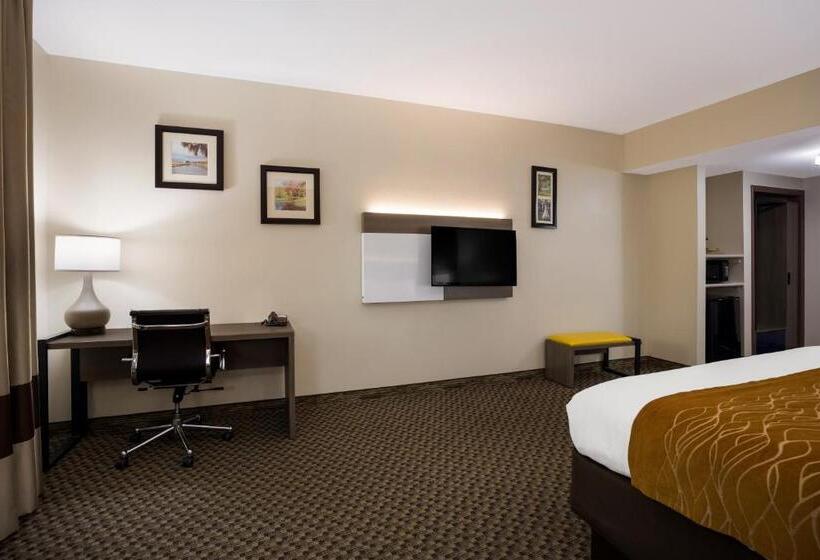 스탠다드 룸 킹사이즈 침대, Comfort Inn & Suites Midway Tallahassee West