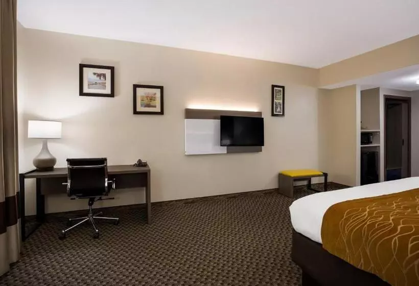 キングサイズベッドのスタンダードルーム, Comfort Inn & Suites Midway   Tallahassee West