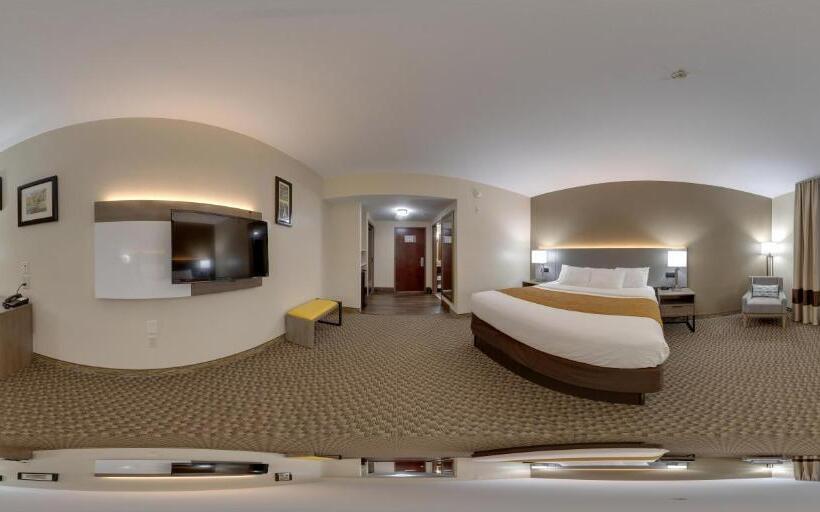 스탠다드 룸 킹사이즈 침대, Comfort Inn & Suites Midway Tallahassee West