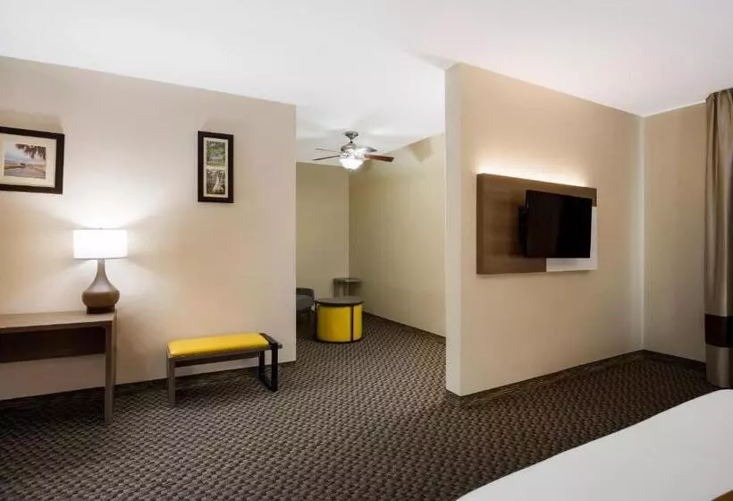 スイート, Comfort Inn & Suites Midway   Tallahassee West