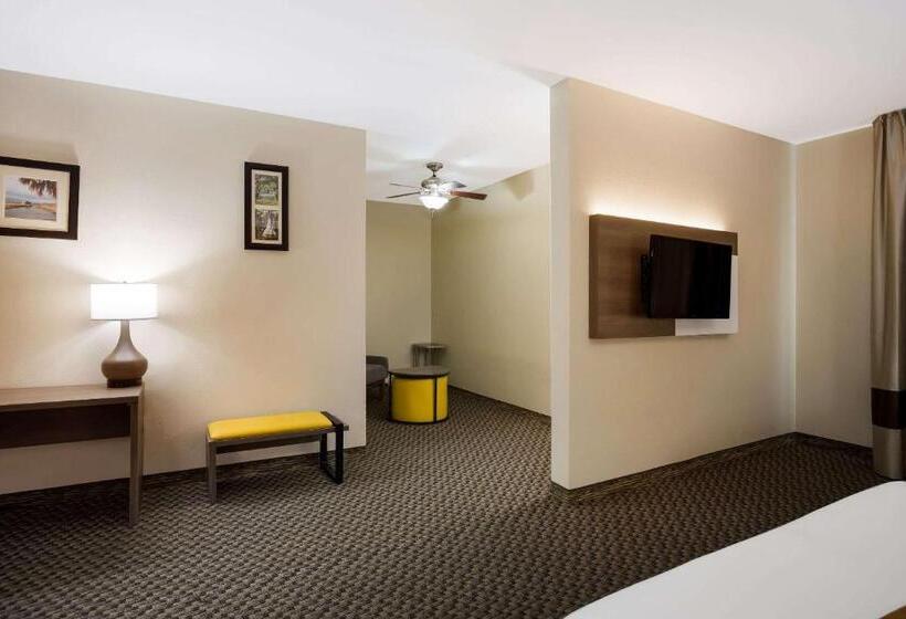 Люкс, Comfort Inn & Suites Midway   Tallahassee West
