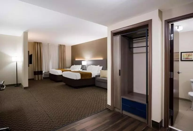 ハイドロマッサージバス付きスイート, Comfort Inn & Suites Midway   Tallahassee West
