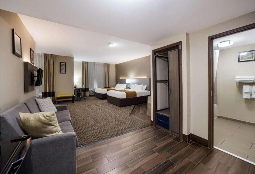 Люкс с гидромассажем, Comfort Inn & Suites Midway   Tallahassee West