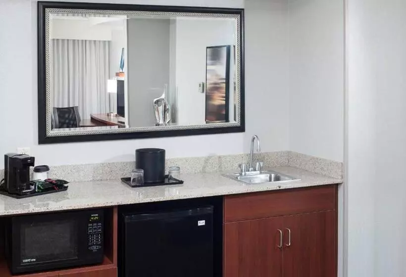Suite King Bed