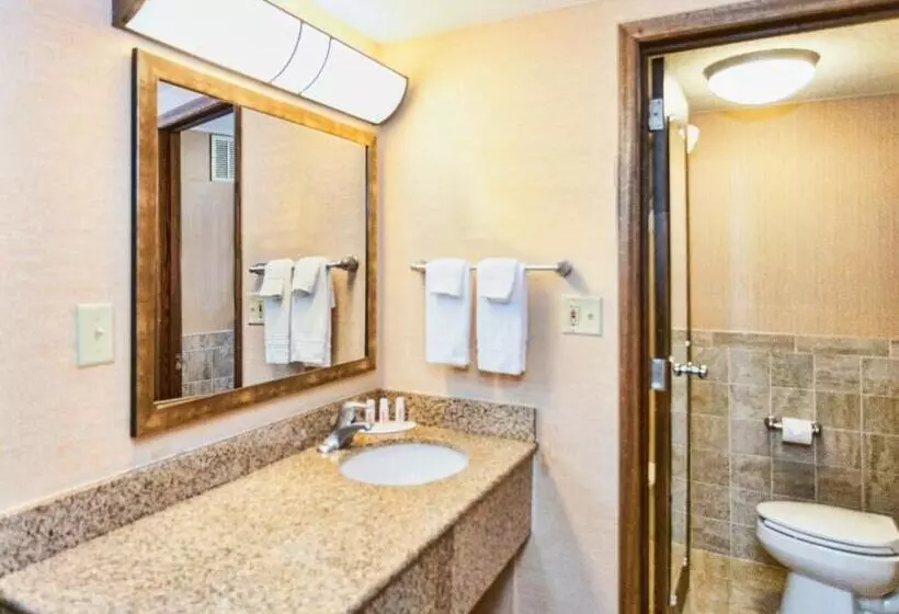 Deluxe-huone, Days Inn By Wyndham Duluth Lakewalk