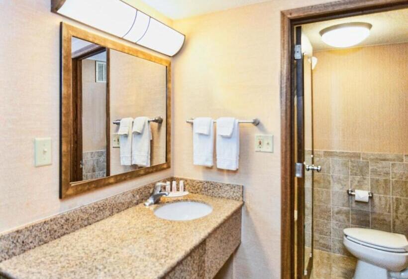 스탠다드 룸 킹사이즈 침대, Days Inn By Wyndham Duluth Lakewalk