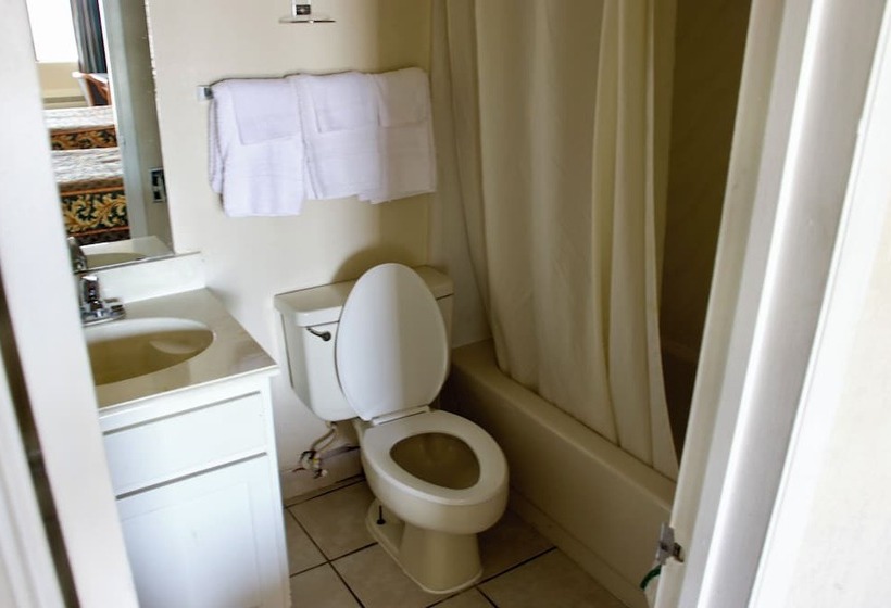 带2个双人床的标准工作室, Executive Inn Of Arlington, Near At&t Stadium