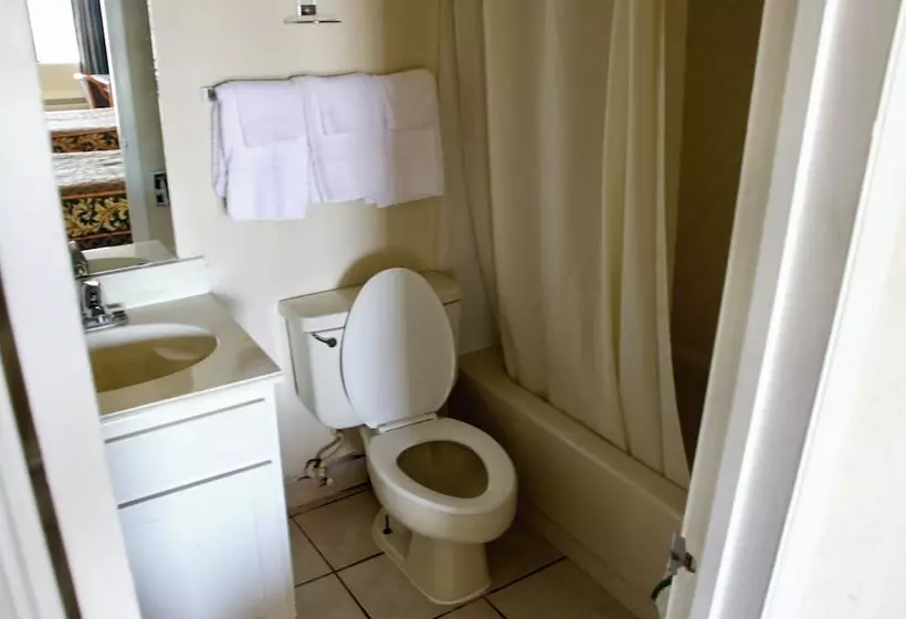 ２ダブルベッドのスタンダードルーム, Executive Inn Of Arlington, Near At&t Stadium