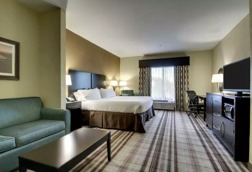 キングサイズベッドのスイートルーム, Holiday Inn Express Natchez South West, An Ihg