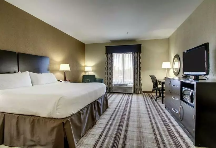 キングサイズベッドのスイートルーム, Holiday Inn Express Natchez South West, An Ihg