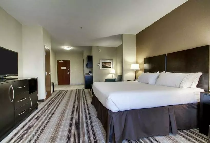 身障者適用キングサイズベッドルーム, Holiday Inn Express Natchez South West, An Ihg