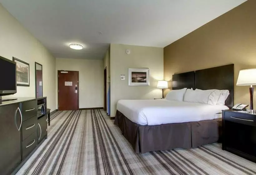 キングサイズベッドのスタンダードルーム, Holiday Inn Express Natchez South West, An Ihg