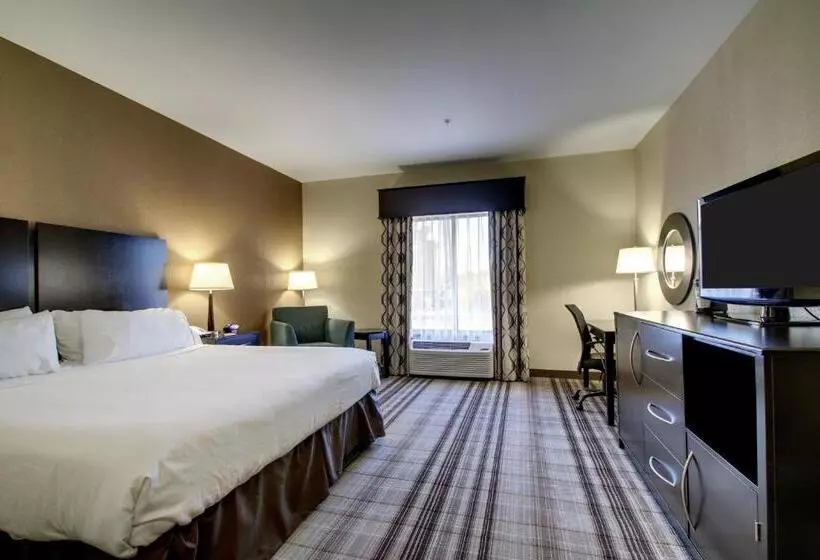 キングサイズベッドのスタンダードルーム, Holiday Inn Express Natchez South West, An Ihg
