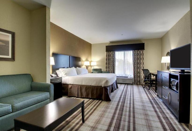 스탠다드 룸 킹사이즈 침대, Holiday Inn Express Natchez South West, An Ihg