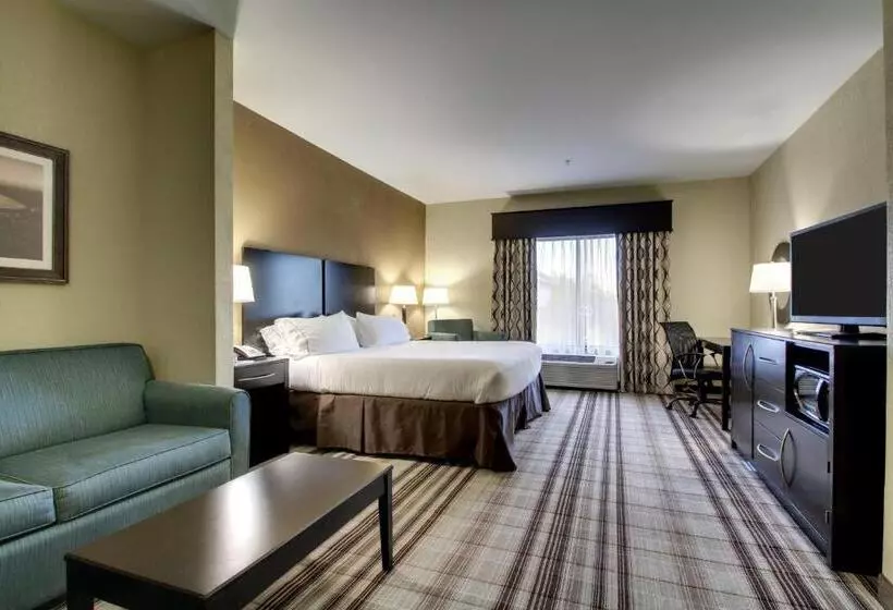 キングサイズベッドのデラックスルーム, Holiday Inn Express Natchez South West, An Ihg