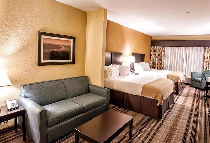 스탠다드 룸 킹사이즈 침대, Holiday Inn Express Natchez South West, An Ihg