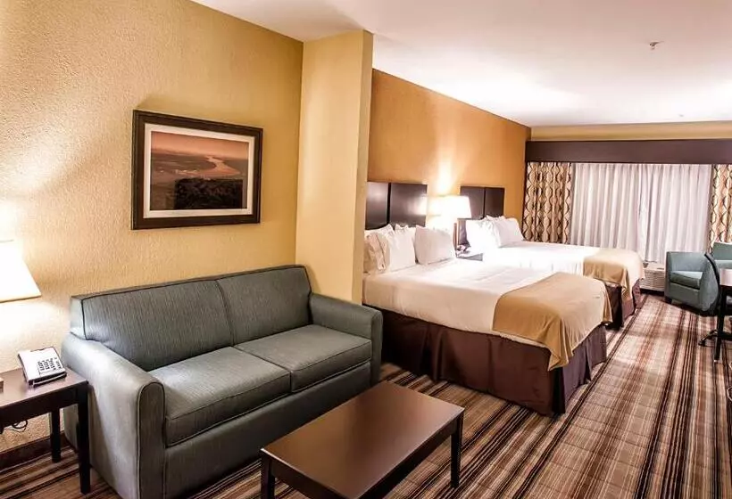 キングサイズベッドのデラックスルーム, Holiday Inn Express Natchez South West, An Ihg