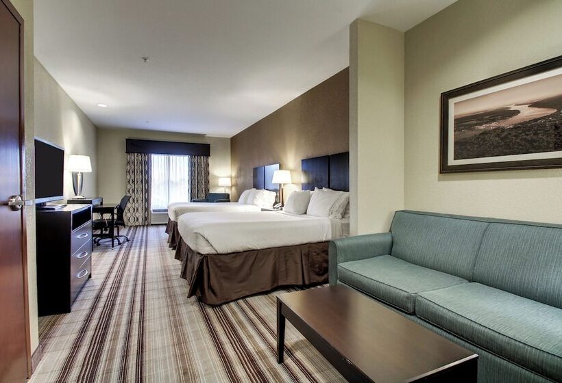스위트, Holiday Inn Express Natchez South West, An Ihg