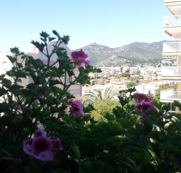 غرفة قياسية فردية, Tramontana