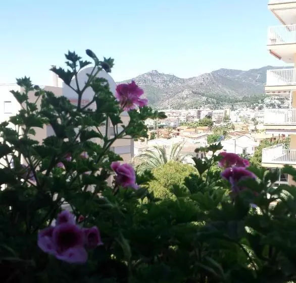 اتاق استاندارد یک نفره, Tramontana