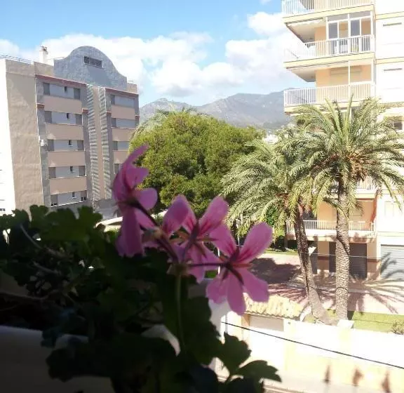 اتاق استاندارد یک نفره, Tramontana