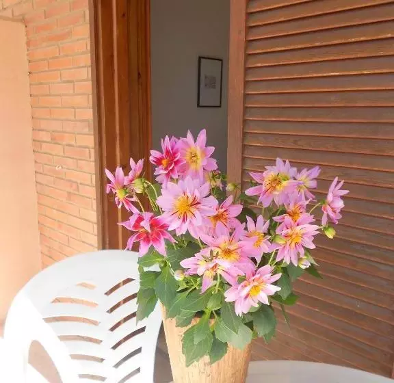 اتاق استاندارد, Tramontana