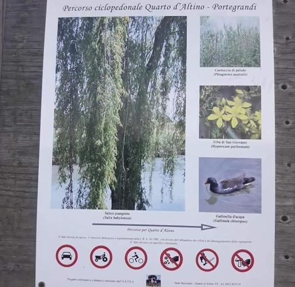 Standart Tek Kişilik Oda, Laguna B&b