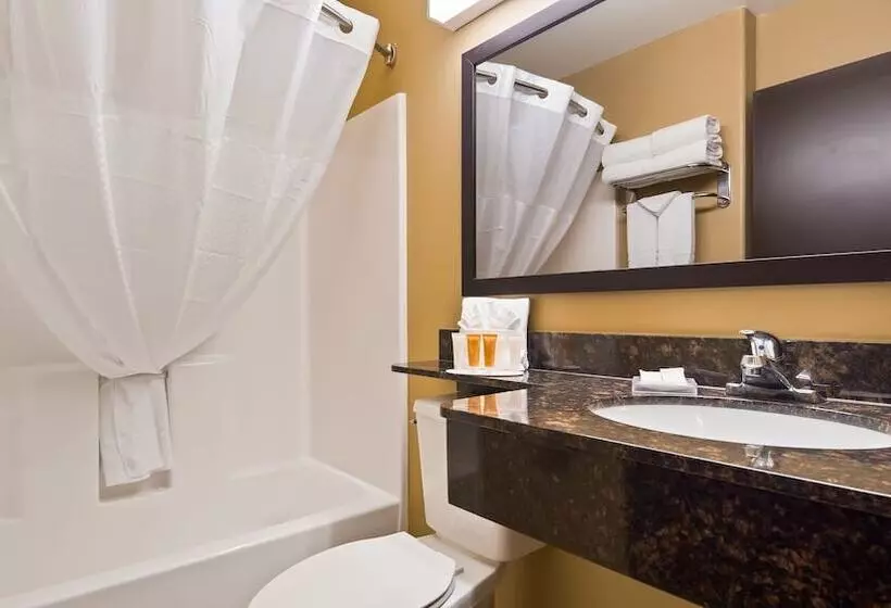 身障者適用スイートルーム, Microtel Inn & Suites By Wyndham Buda Austin South
