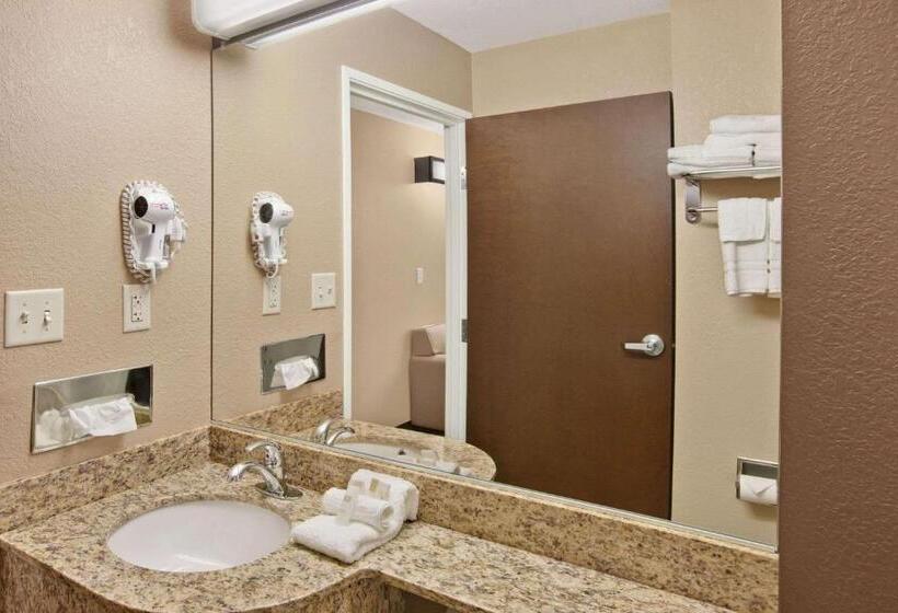 适合残疾人使用的标准间, Microtel Inn & Suites Sayre, Pa