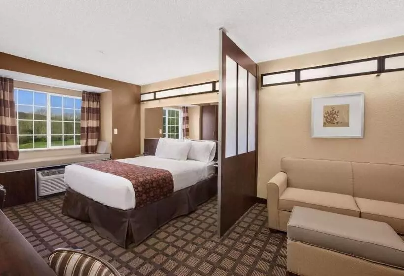 スタンダードスタジオ, Microtel Inn & Suites Sayre, Pa