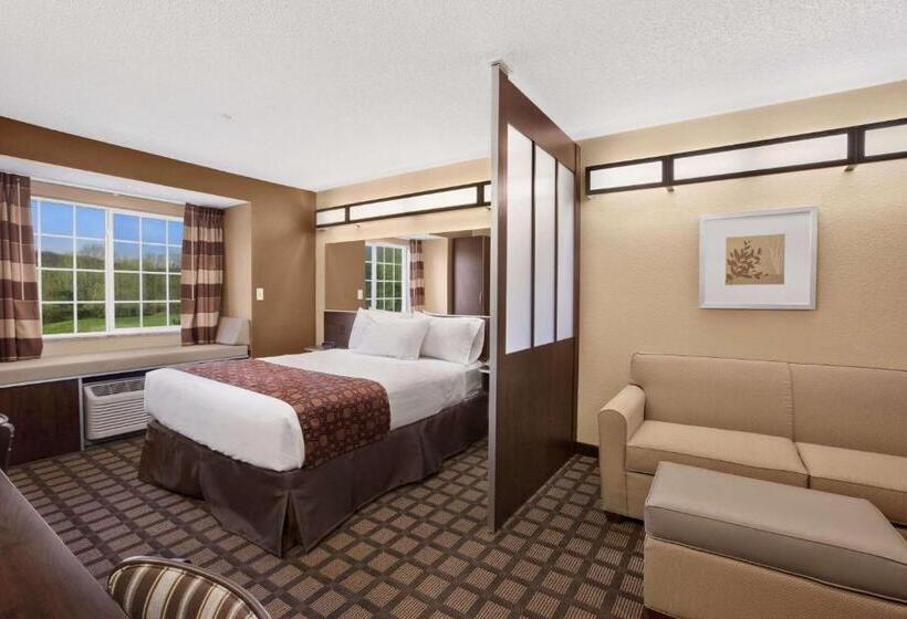 스탠다드 스튜디오, Microtel Inn & Suites Sayre, Pa