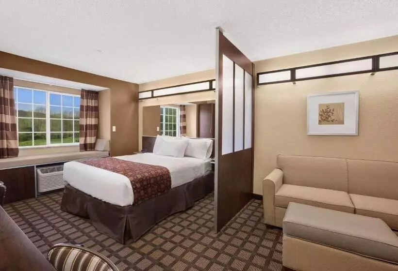 スタンダードスタジオ, Microtel Inn & Suites Sayre, Pa