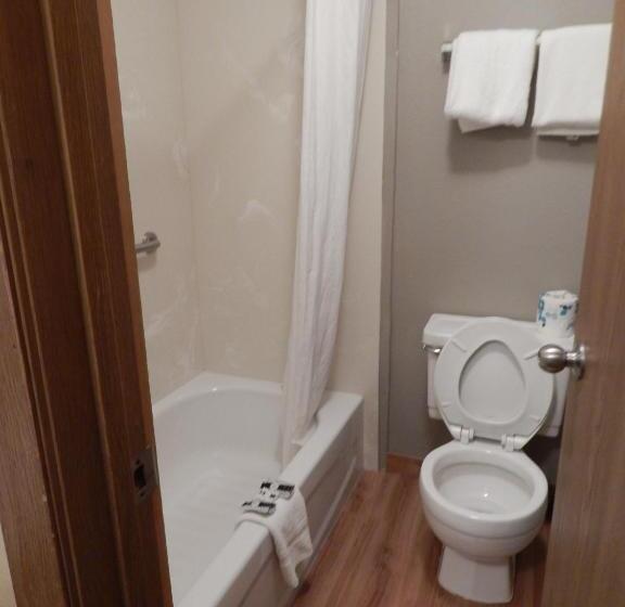 ２ダブルベッドのスタンダードルーム, Alpine Inn